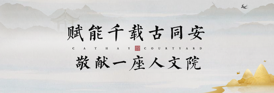 同安人口志_大代志!今天起,同安又了多一个“世界第一”
