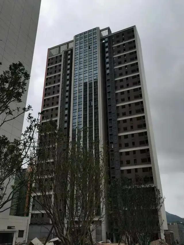 六月家书|炎炎夏日 清风拂面递情意