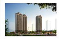 皇冠钻石双星效果图 