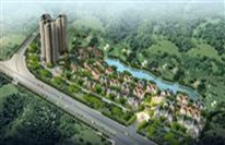 皇冠钻石双星效果图 