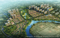 皇冠钻石双星效果图 