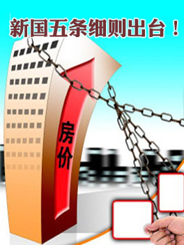 国五条细则公布