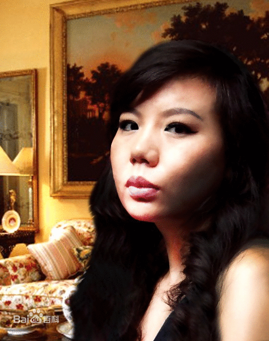 冯莹 美国海斯兰德国际建筑师事务所首席建筑设计师、董事长