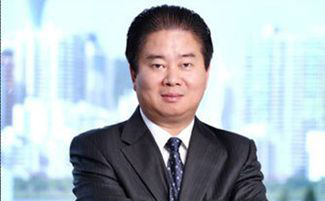 林龙安 禹洲地产股份有限公司董事局主席