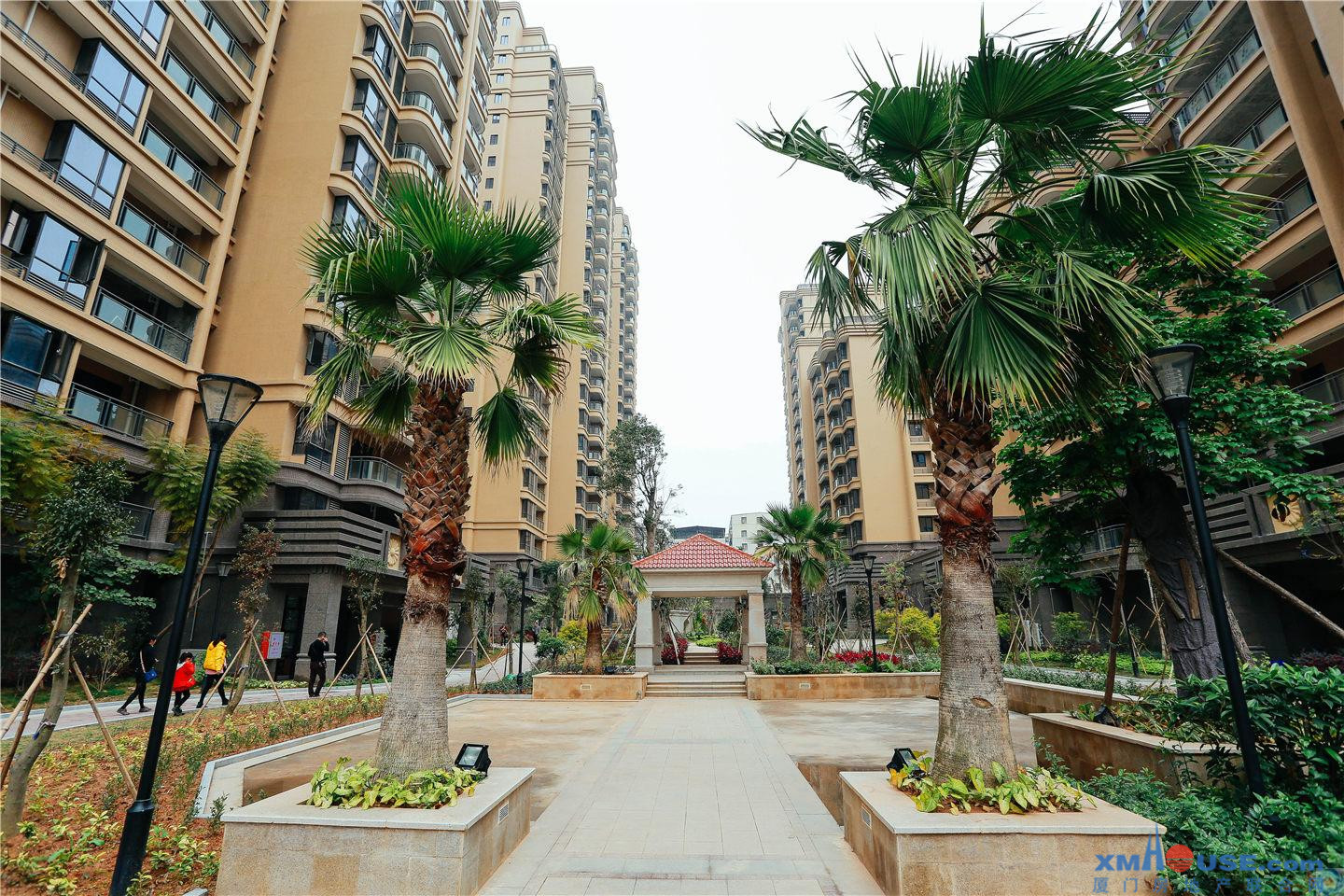 新景华府国际实景图4